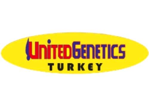 Yeniçözüm Referans