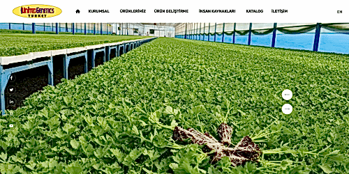 United Genetics
